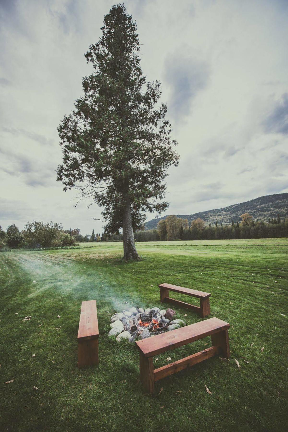 Hidden Acres Farm And Treehouse Resort Terrace Eksteriør billede